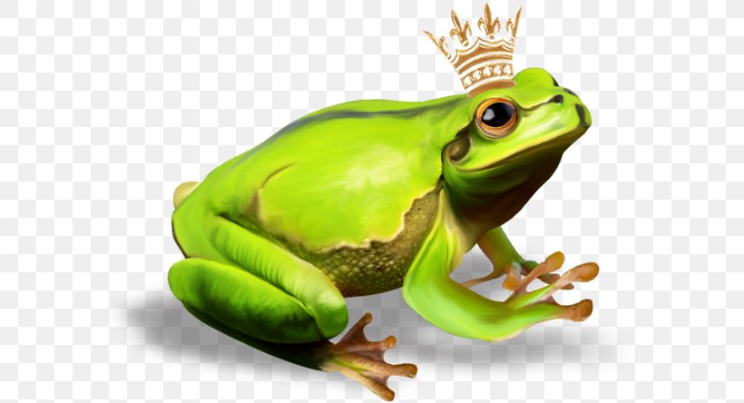 The Frog Prince, PNG, 600x444px, Frog Prince, Amphibian, Fauna, Frog, Organism Download Free