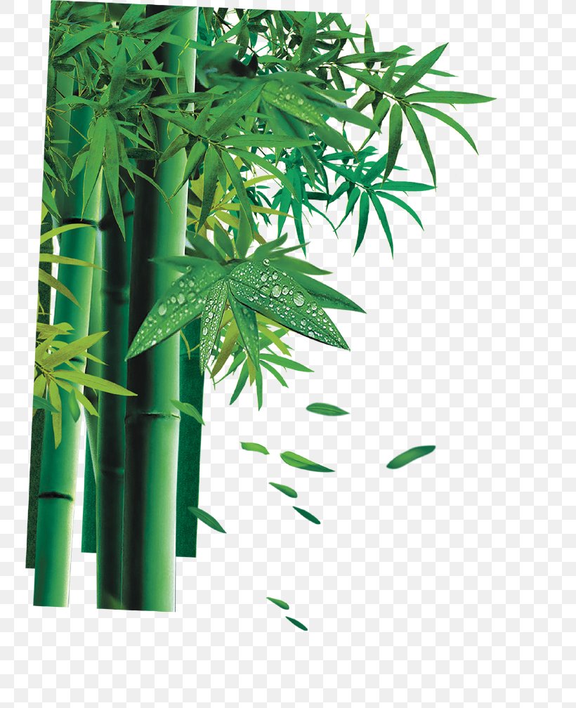 Bamboe Bamboo, PNG, 747x1008px, Bamboe, Bamboo, Cannabis, Drawing, Hemp Download Free