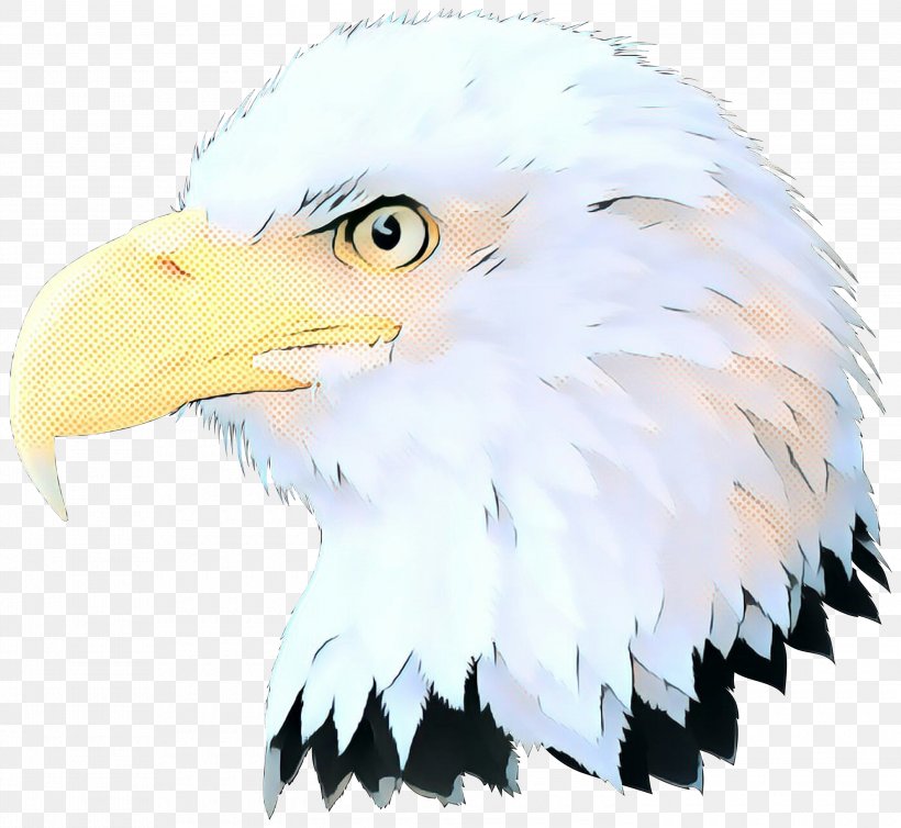 Bird Bald Eagle Bird Of Prey Eagle Beak, PNG, 3000x2762px, Pop Art, Accipitridae, Bald Eagle, Beak, Bird Download Free