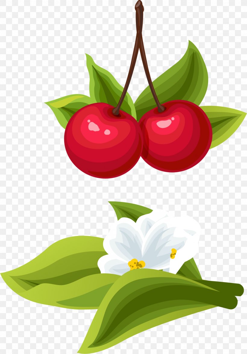 Cherry Cartoon Clip Art, PNG, 1485x2131px, Cherry, Animation, Auglis, Cartoon, Drawing Download Free