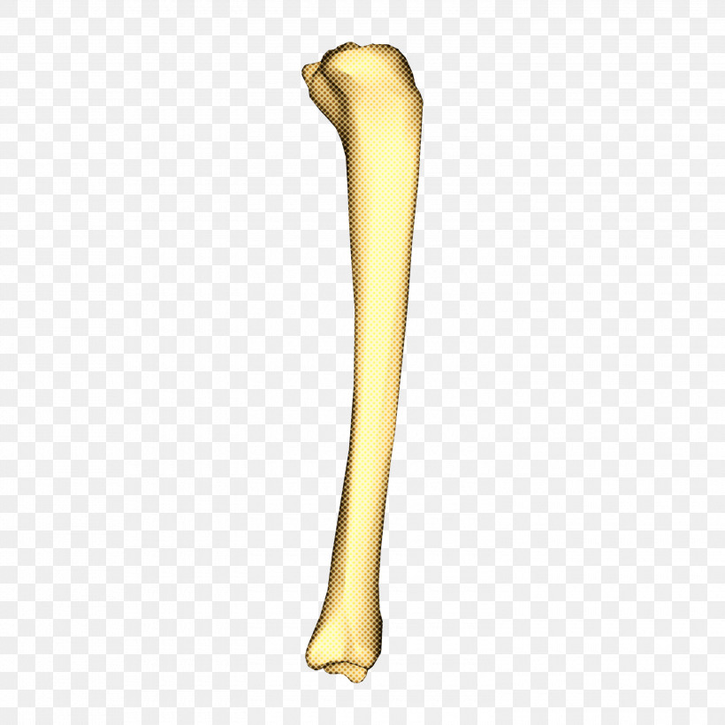 Data Editing Explanation Tibia, PNG, 3000x3000px, Data, Editing, Explanation, Tibia Download Free