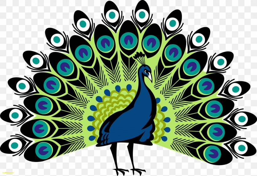 Peafowl Drawing Symbol Coat Of Arms Clip Art, PNG, 1600x1100px, Peafowl, Art, Beak, Bird, Coat Download Free