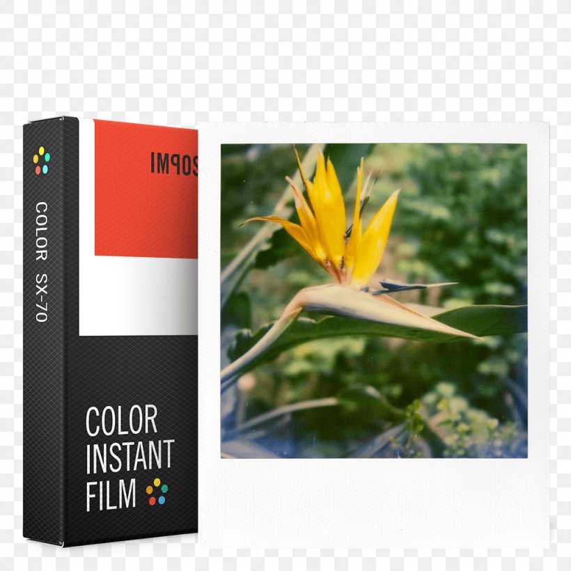 Polaroid SX-70 Photographic Film Instant Camera Instant Film Polaroid Originals, PNG, 1024x1024px, Polaroid Sx70, Black And White, Camera, Color Motion Picture Film, Color Photography Download Free
