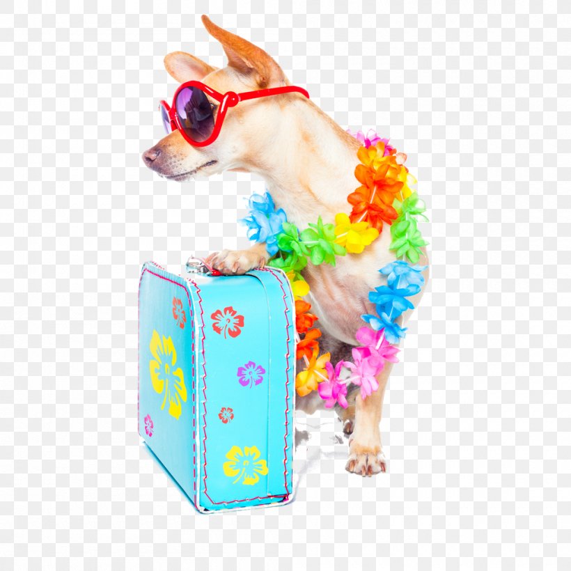 Stock Photography Chihuahua Summer Vacation, PNG, 1000x1000px, Stock Photography, Animal Figure, Baggage, Chihuahua, Dog Download Free