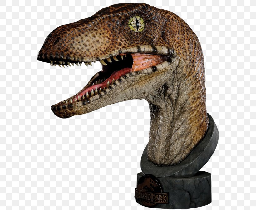Velociraptor Deinonychus Dilophosaurus Jurassic Park Bust, PNG, 585x673px, Velociraptor, Bust, Deinonychus, Dilophosaurus, Dinosaur Download Free
