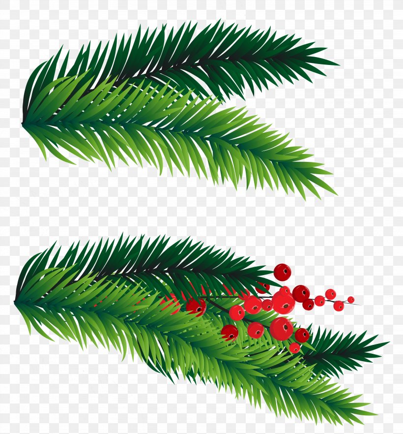 Christmas Tree Branch Clip Art, PNG, 3687x3968px, Christmas Tree, Arecales, Branch, Christmas, Christmas Decoration Download Free
