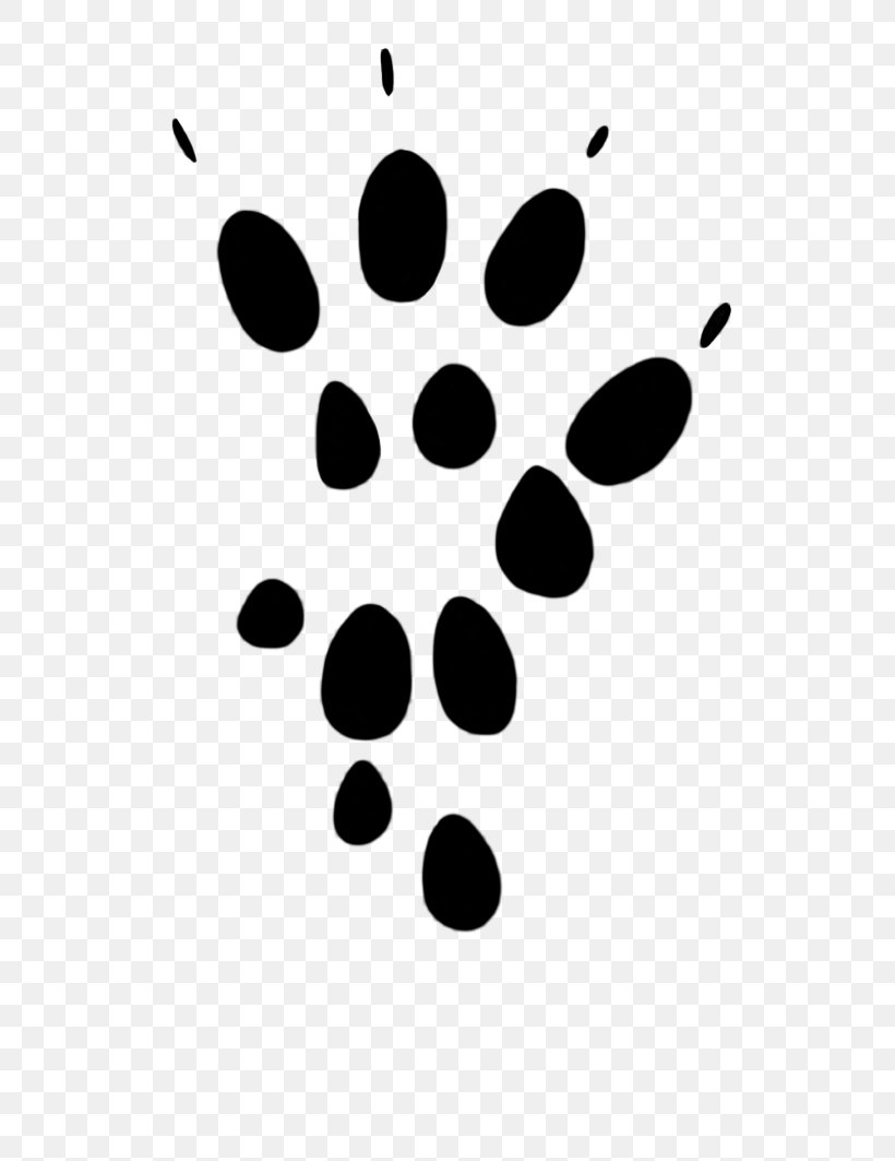 Computer Mouse Paw Footprint Cat Clip Art, PNG, 815x1063px, Computer Mouse, Animal Track, Black, Black And White, Black Rat Download Free