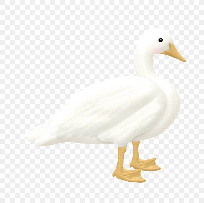 Duck With Not Bulletproof Goose Cygnini, PNG, 2362x2362px, Duck, Android, Beak, Bird, Cygnini Download Free