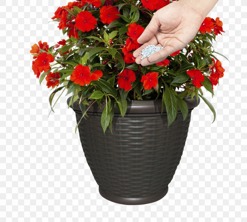 Flowerpot Elatior Begonia Container Garden Plants, PNG, 1115x1000px, Flowerpot, Annual Plant, Artificial Flower, Begonia, Container Garden Download Free