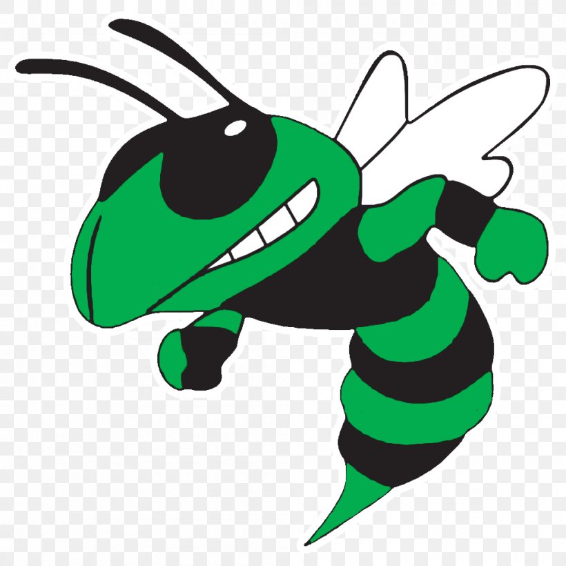 Green Hornet Car Yellowjacket Bumper Sticker, PNG, 1000x1000px, Hornet, Art, Artwork, Baldfaced Hornet, Bumper Download Free