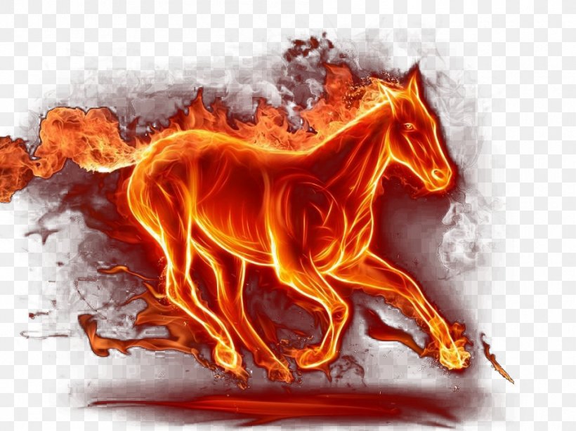 Horse Kindle Fire HD High-definition Television 4K Resolution Wallpaper, PNG, 950x712px, 4k Resolution, Horse, Android, Display Resolution, Fire Download Free