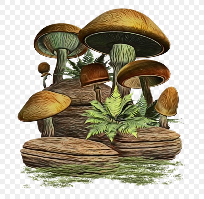 Mushroom Cartoon, PNG, 709x800px, Wood, Agaricomycetes, Bolete, Edible Mushroom, Fungus Download Free