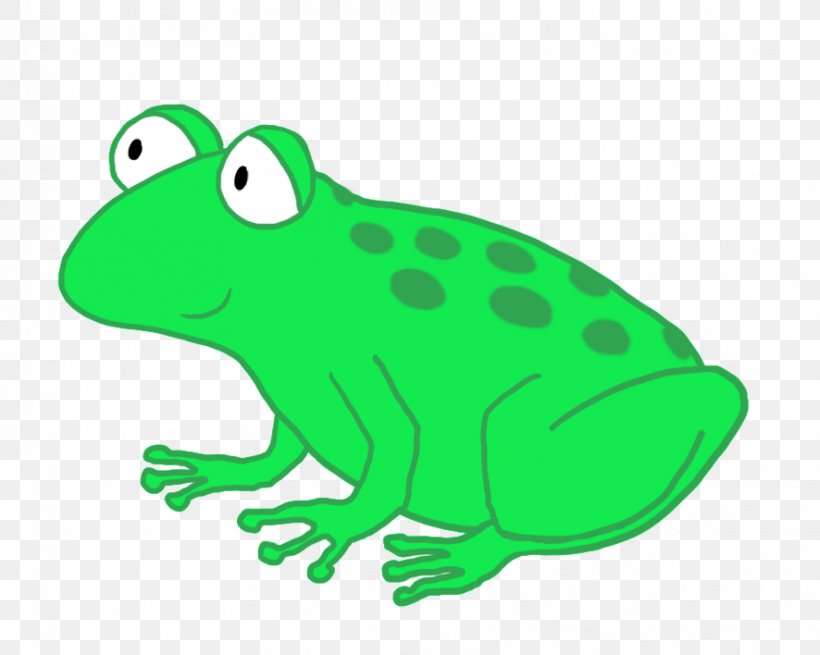 Toad True Frog Tree Frog Clip Art, PNG, 886x708px, Toad, Amphibian, Animal Figure, Cartoon, Coqui Download Free