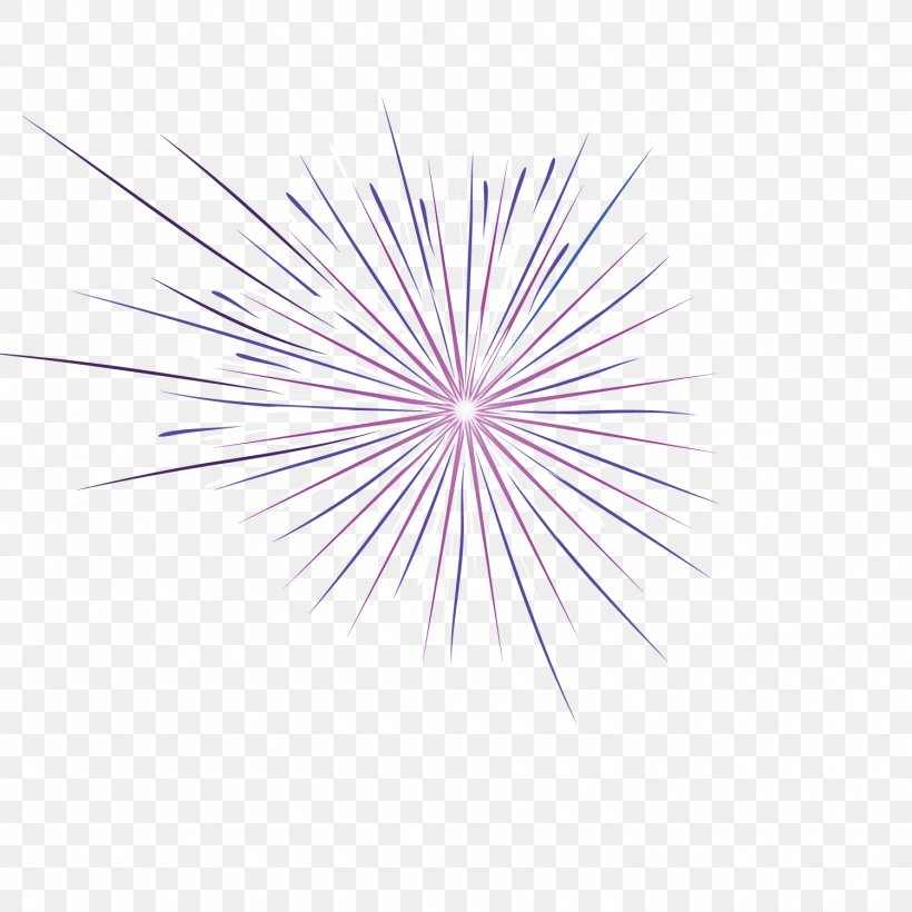 Adobe Fireworks, PNG, 1500x1500px, Adobe Fireworks, Blue, Fireworks, Petal, Point Download Free