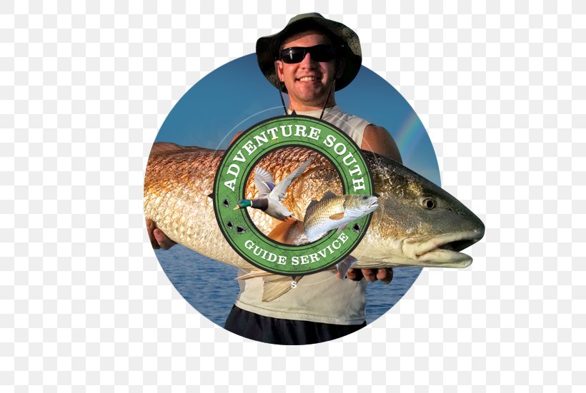 Anglerfish Fishing Marketing Web Design, PNG, 551x551px, Anglerfish, Fish, Fishing, Lightemitting Diode, Marketing Download Free