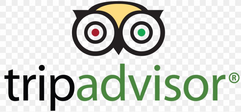 Logo TripAdvisor Travel Vector Graphics Brand, PNG, 1024x476px, Logo, Area, Artwork, Beak, Brand Download Free
