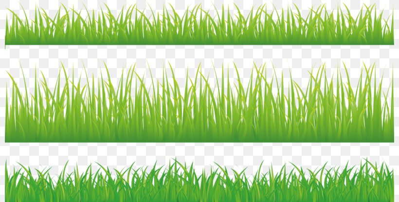 Royalty-free Stock Photography Green Illustration, PNG, 800x415px, Royaltyfree, Chrysopogon Zizanioides, Commodity, Drawing, Field Download Free