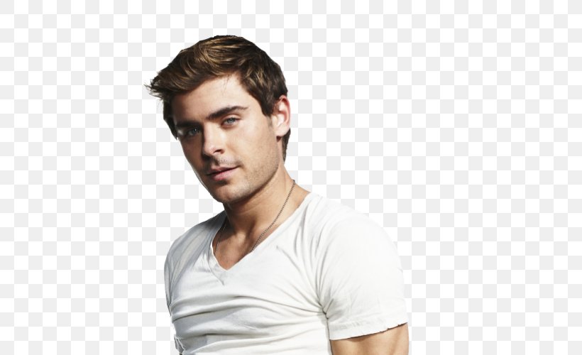 Zac Efron High School Musical: Makin' The Cut! Celebrity Musical Theatre, PNG, 750x500px, Zac Efron, Actor, Arm, Celebrity, Chin Download Free