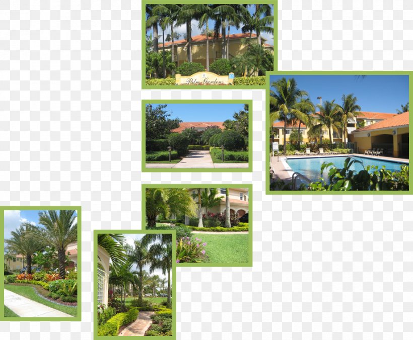 Arecaceae Property Estate Resort Meter, PNG, 919x758px, Arecaceae, Area, Arecales, Estate, Garden Download Free