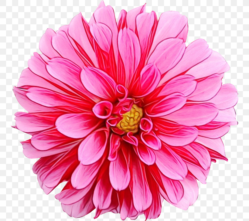 Floral Design, PNG, 750x728px, Watercolor, Art Museum, Document, Floral Design, Flower Download Free
