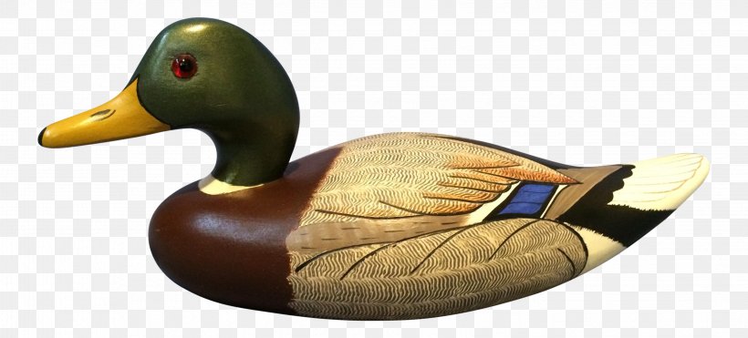 Mallard Duck Decoy Wood Duck, PNG, 3259x1478px, Mallard, Beak, Bird, Decoy, Drawing Download Free