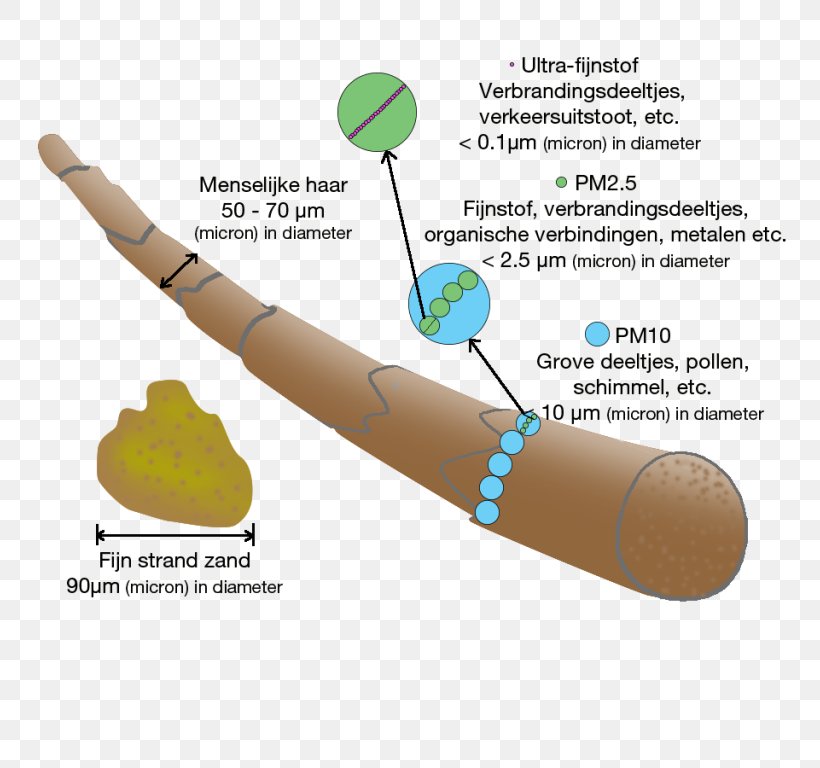 Particulates Micrometer PM10 Dust Deeltje, PNG, 768x768px, Particulates, Arm, Diameter, Dust, Finger Download Free