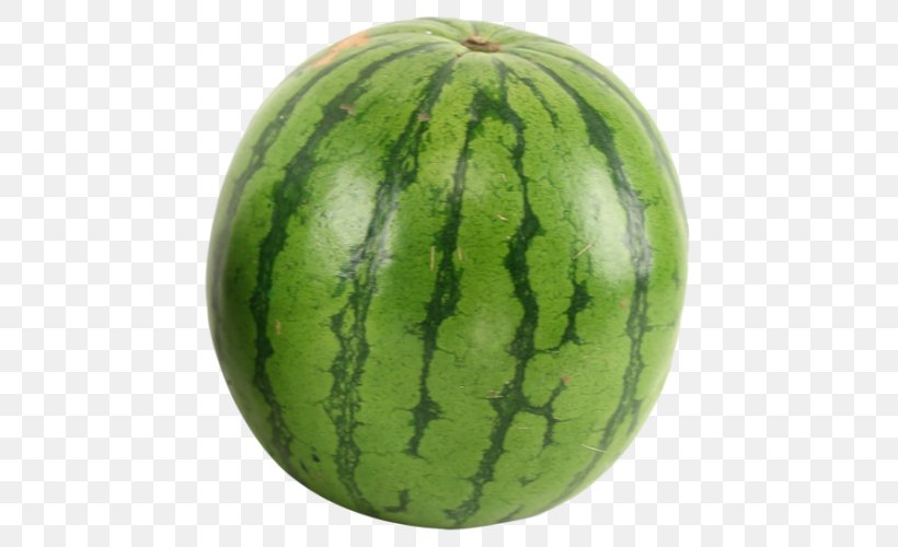 Watermelon Clip Art Cantaloupe, PNG, 500x500px, Watermelon, Cantaloupe, Citrullus, Citrullus Lanatus, Cucumber Download Free
