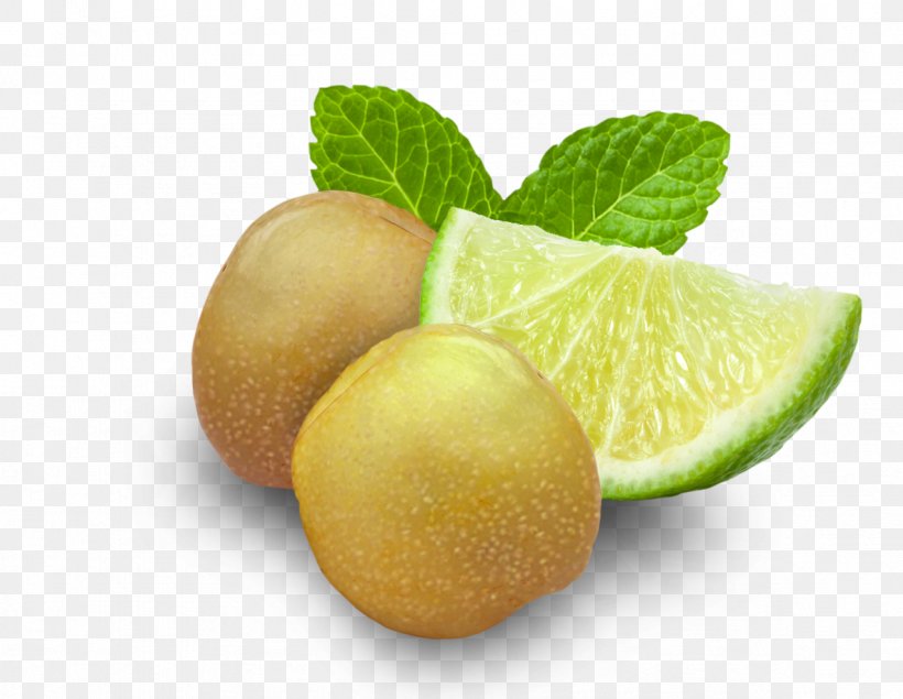 Key Lime Sweet Lemon Persian Lime, PNG, 1181x915px, Lime, Citric Acid, Citron, Citrus, Dandruff Download Free