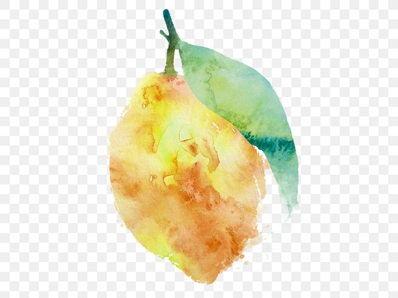 Pear, PNG, 491x614px, Pear, Food, Fruit Download Free