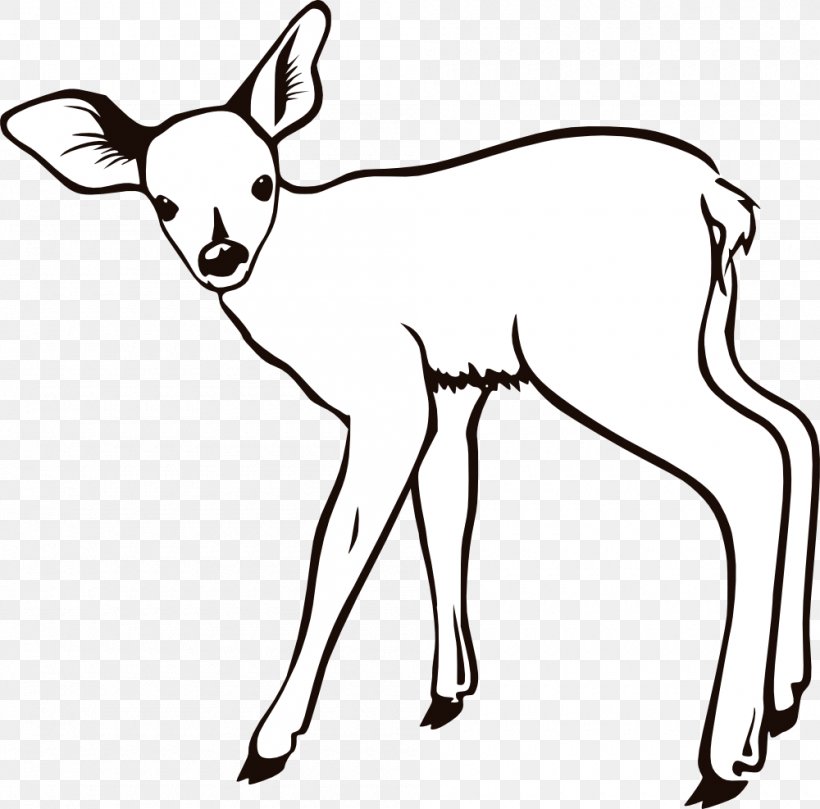 White-tailed Deer Coloring Book Infant Child, PNG, 1000x987px, Deer, Adult, Animal, Artwork, Black And White Download Free
