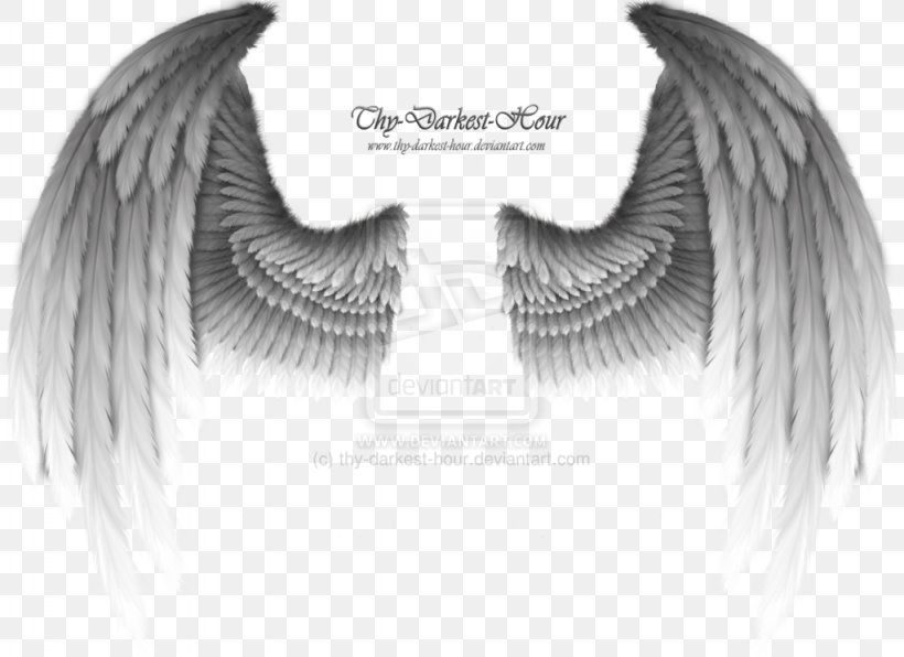 Wing Clip Art, PNG, 1024x745px, Wing, Angel, Art, Black And White, Deviantart Download Free
