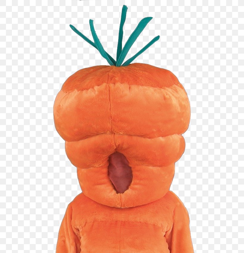 Pumpkin Poil De Carotte Carrot Costume Disguise, PNG, 600x850px, Pumpkin, Calabaza, Carrot, Costume, Costume Party Download Free