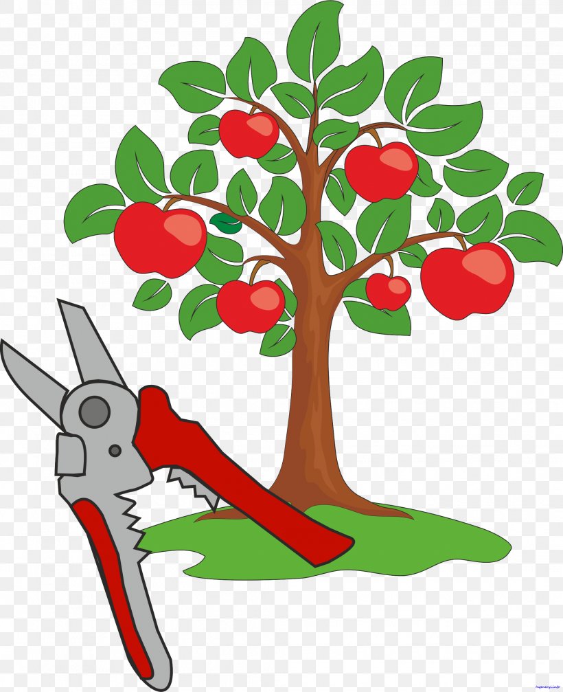 Apple Fruit Tree Clip Art, PNG, 2029x2494px, Apple, Artwork, Branch, Flora, Flower Download Free