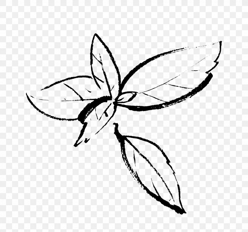 Drawing Insect Organic Beef Line Art, PNG, 1740x1632px, Drawing, Area, Artwork, Basil, Black And White Download Free