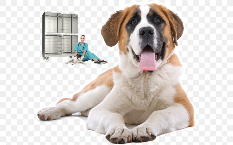 St. Bernard Pet Bed Cat Kennel, PNG, 566x510px, St Bernard, Bed, Cat, Companion Dog, Dog Download Free