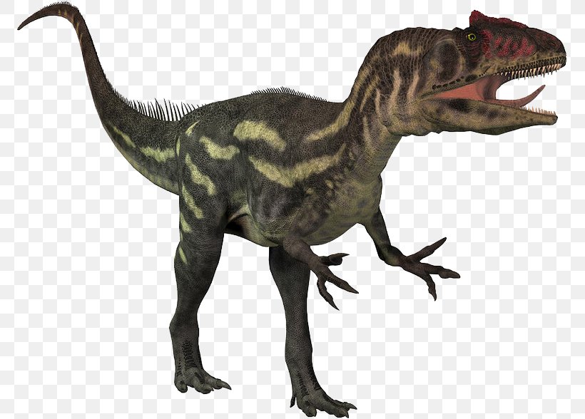 Allosaurus Dinosaur Theropods Cryolophosaurus Tyrannosaurus, PNG, 771x588px, Allosaurus, Animal Figure, Apatosaurus, Cryolophosaurus, Dinosaur Download Free