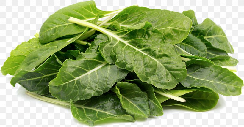 Chard Greens Vegetable Spinach Recipe, PNG, 872x456px, Chard, Arugula, Beet Greens, Beta, Bok Choi Download Free