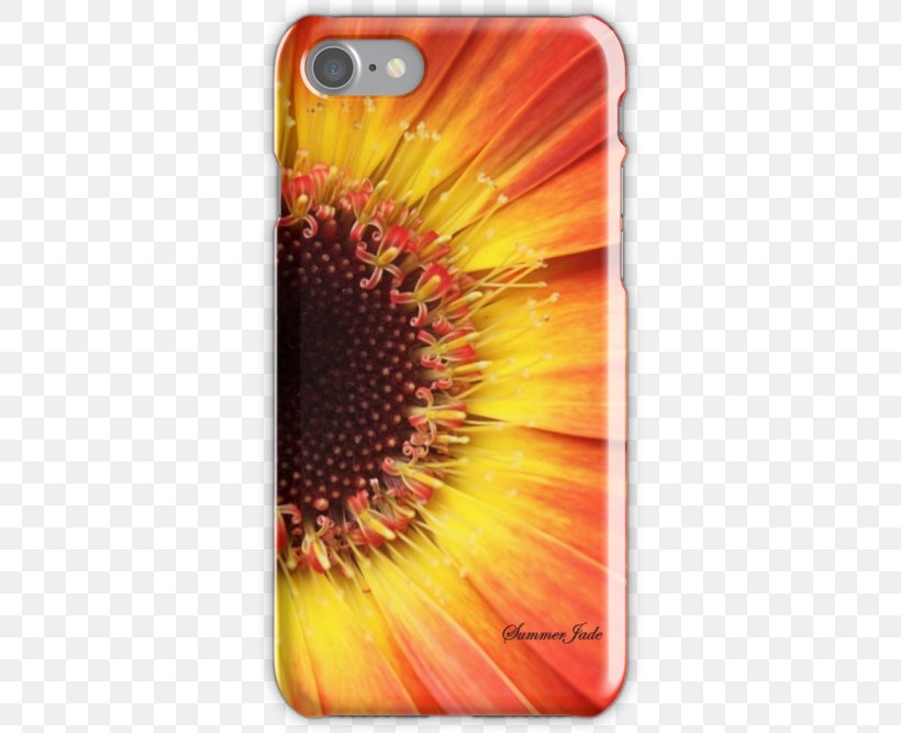 Common Sunflower Transvaal Daisy Mobile Phone Accessories Mobile Phones IPhone, PNG, 500x667px, Common Sunflower, Daisy Family, Flower, Flowering Plant, Gerbera Download Free