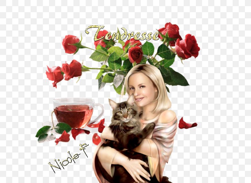 Flower Bouquet Rose Vase, PNG, 600x600px, Flower, Affection, Cat, Cut Flowers, Floral Design Download Free