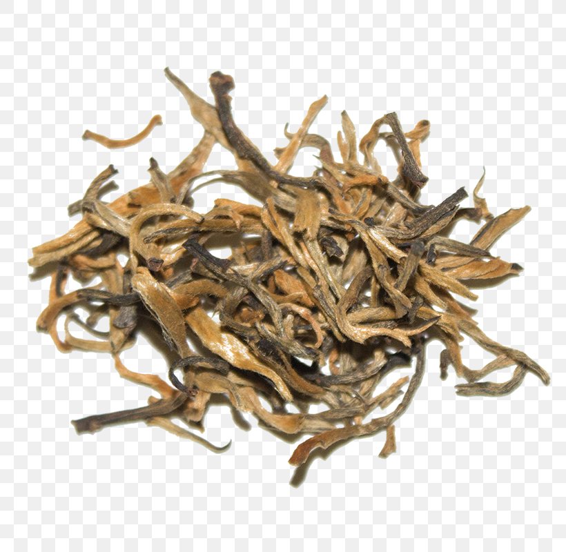 Nilgiri Tea Dianhong Golden Monkey Tea Tea Plant, PNG, 800x800px, 2018 Audi Q7, Nilgiri Tea, Assam Tea, Audi Q7, Bai Mudan Download Free
