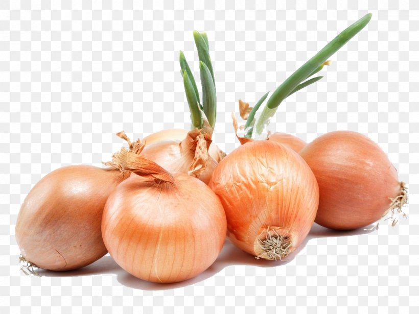 Onion Health Urdu Nutrition Food, PNG, 1200x900px, Onion, Disease, Doubles, Eating, Food Download Free