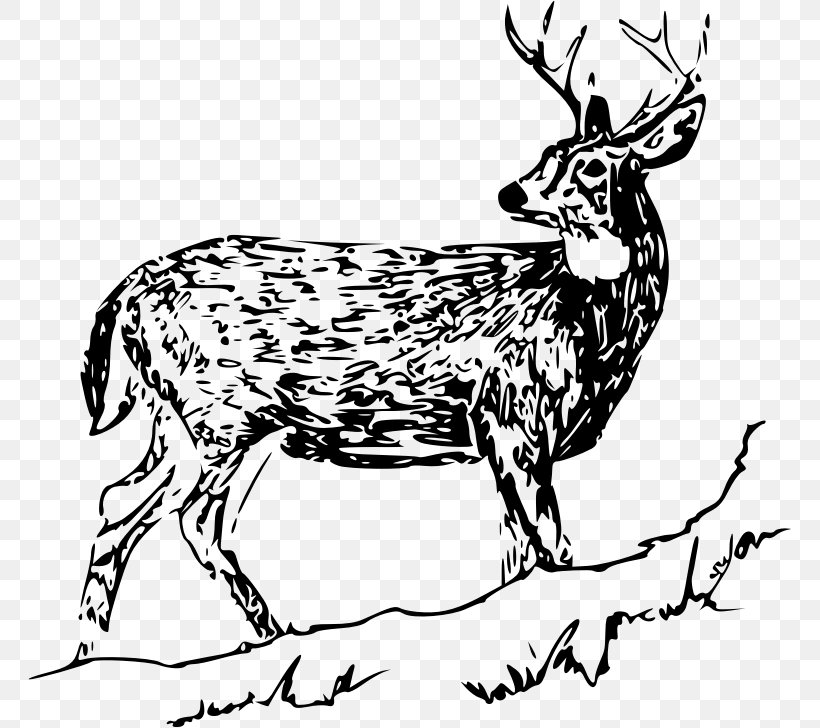 White-tailed Deer Drawing Reindeer Clip Art, PNG, 763x728px, Whitetailed Deer, Animal Figure, Antler, Art, Black And White Download Free