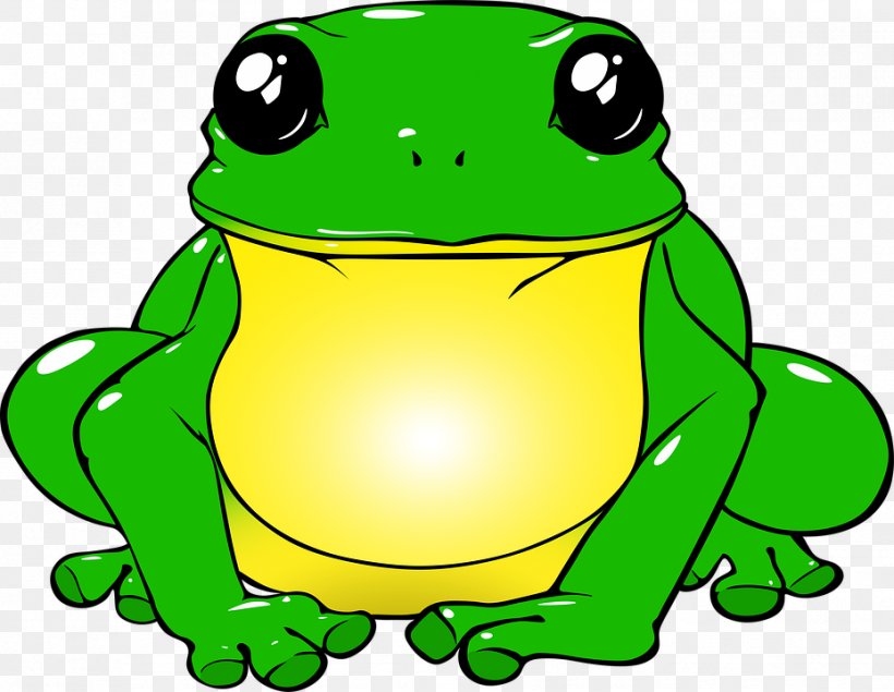 Edible Frog Toad Frog Mug Tree Frog, PNG, 929x720px, Frog, Amphibian, Animal, Artwork, Button Download Free