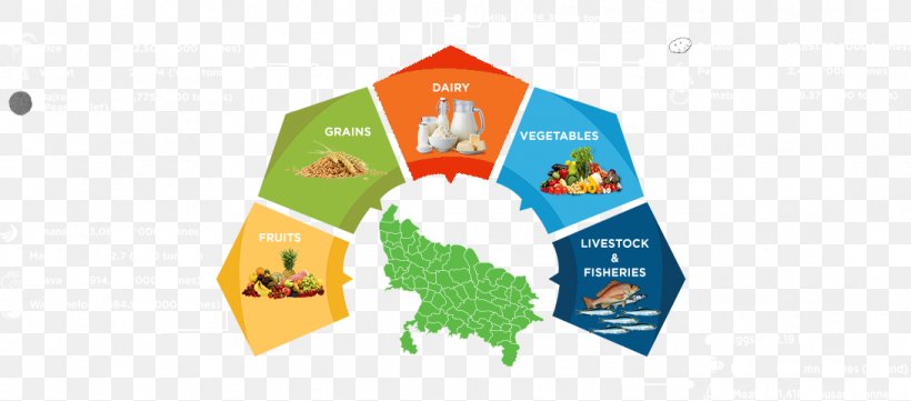 Maharashtrian Cuisine Uttar Pradesh Indian Cuisine Tamil Cuisine Biryani, PNG, 1092x481px, Maharashtrian Cuisine, Biryani, Convenience Food, Cuisine, Food Download Free