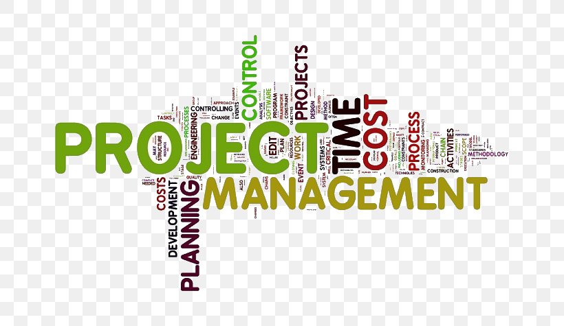 Project Management Body Of Knowledge Project Management Professional, PNG, 700x475px, Project Management, Brand, Business, Logo, Management Download Free