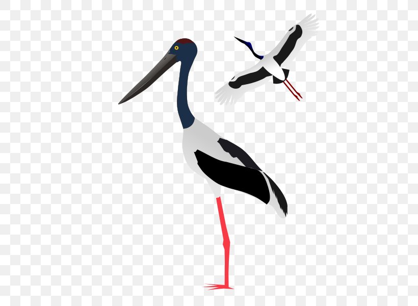 White Stork Clip Art, PNG, 600x600px, White Stork, Beak, Bird, Black Stork, Ciconiiformes Download Free
