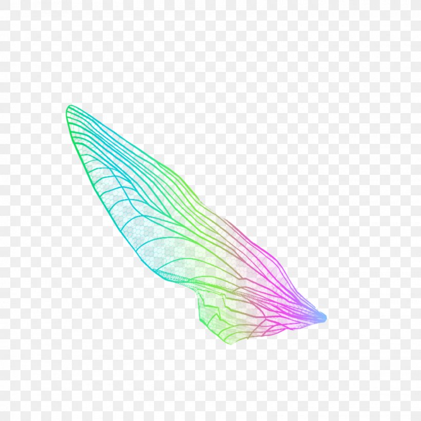 Line, PNG, 1600x1600px, Wing, Feather Download Free