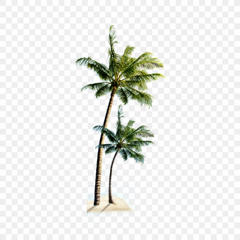 Playa Verde Beach Villa Praia Do Coqueiro, PNG, 1000x1000px, Beach, Avalon Waterways, Boutique Hotel, Coconut, Cruise Line Download Free