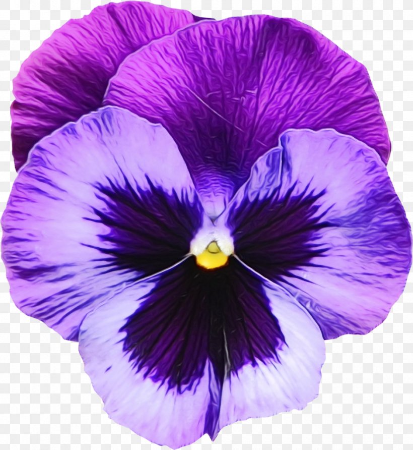 Purple Watercolor Flower, PNG, 940x1023px, Watercolor, African Violets, Blue, Common Blue Violet, Flower Download Free