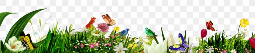 Butterfly Flower Herbaceous Plant, PNG, 3582x758px, Butterfly, Field, Flower, Grass, Grass Family Download Free